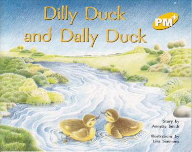 dillyduckanddallyduck这本书不错哟强烈推荐